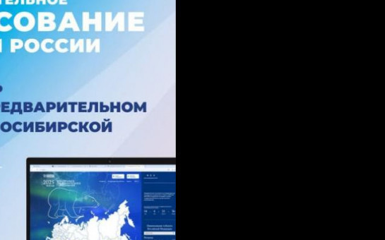 Предварительное голосование 
